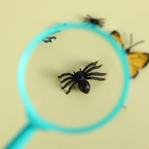 Plastic 25/40/50/60mm Acrylic High-Definition Color Children Portable Handheld Mini Magnifying Glass Wholesale