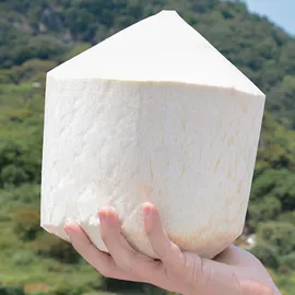 软糖;面筋制品;传统糕点