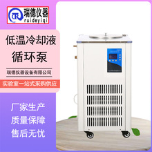 瑞德 低温冷却水循环泵DLSB-100L冷却液循环泵实验室制冷泵冷水机