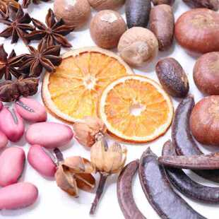 ֲ������������v����˽���Ȼ�ֹ��ɻ��h���������������