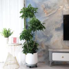 ҸԴ;GֲΗUƽ҃ؔkҿ͏dؔ[ֲ