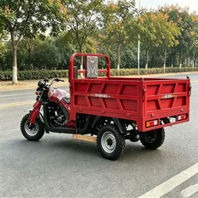 Sərnişin üçtəkərli motosikllar Three-Wheeler for Household and Agricultural Use