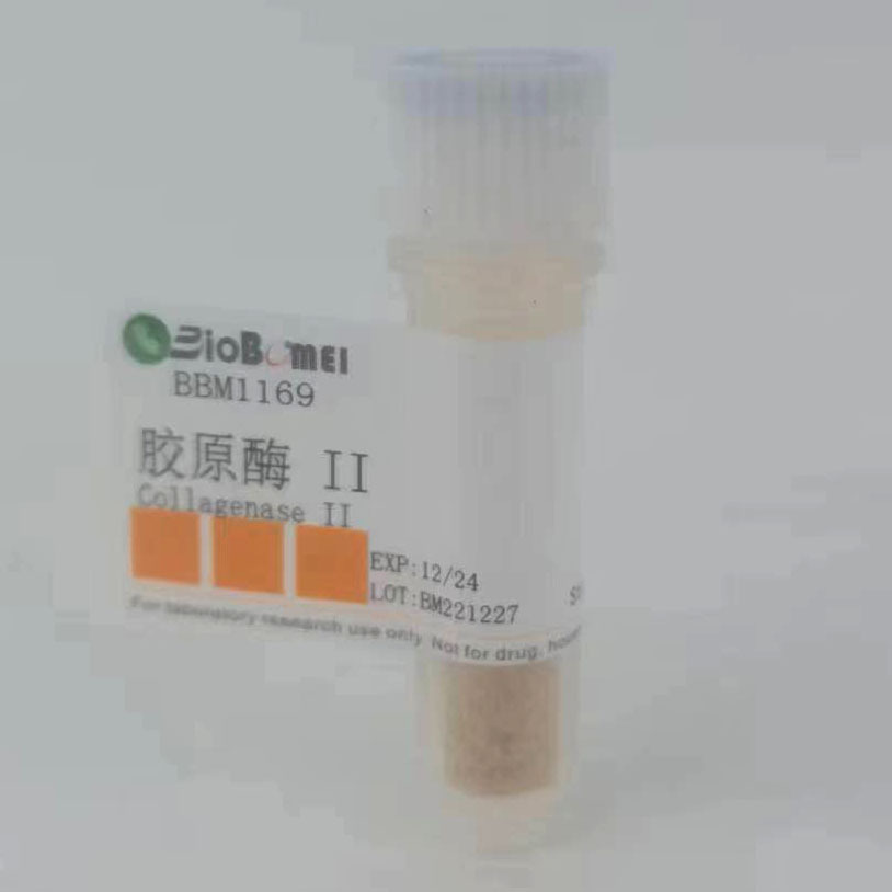 胶原酶II   /  Collagenase II   科研实验试剂CAS：9001-12-1
