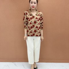 一件代发直播爆款2025秋季新款时尚洋气休闲宽松翻领碎花长袖T恤