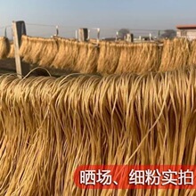 农家手工红薯粉条红薯粉地瓜粉5斤细粉粉丝批发500g红薯粉丝粉条