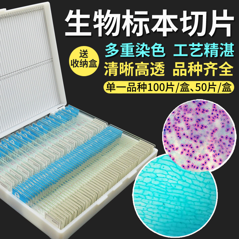 生物显微镜标本切片人体组织细胞玻片藻类霉菌儿童科学动植物装片