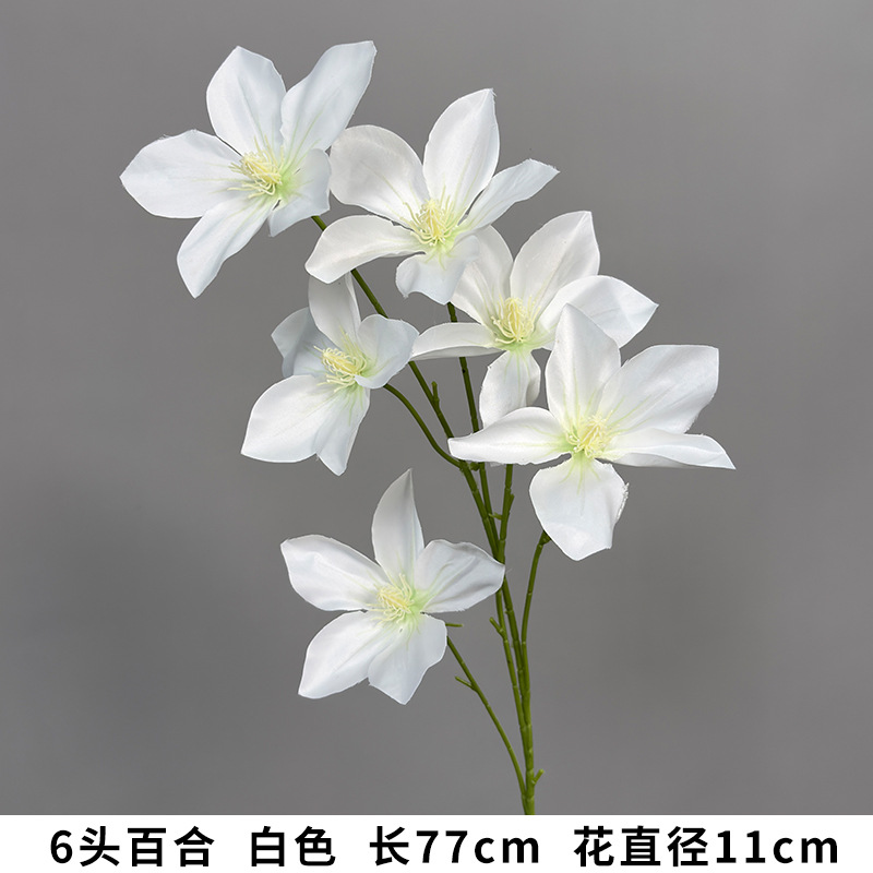 6 lilies white