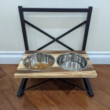 ���S���Ʋ��P���������؈��ɲ����ιʳ�� ����؈��ιʳ��