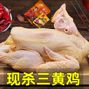 ɢ�B���S�u���l���uʳ��������ĸ�u���r�חl�u�F�׬F�����rֱ�l