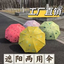 创意水果伞批发雨伞晴雨两用 遮阳伞黑胶防晒手动女防晒防紫外线