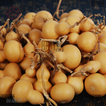 �S�����l�Nֲ��Ȼ����С���J؛Դ ������控���^��ƷС���J