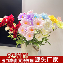 ���滨5�^ɏ�Q�ճ��Ҿ��b[���zӰ���߻�c�Ƶ겼���쾰���컨