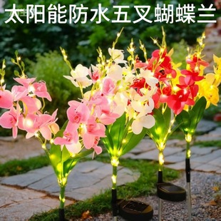 ̫��ܺ����m�ز�������ˮ�bʟ�ͥԺ���@��ƺ�Շ����^Сҹ��