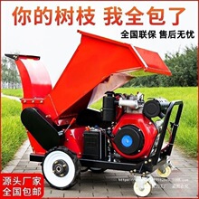 ��֦����C�������͹��@ľ����֦�C�@���Ƅ�֦�l����C���ѽն�