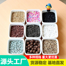 多肉铺面石园艺用品多肉景观植物盆栽装饰品肉肉铺面造景基质石子