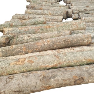 ���Ҹی�ľԭľ��z�ľ�ĺ���ľһ��؛Դ�ɇ����A���r�񃞻�