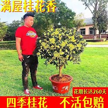 �ļ������Ԙ����҃ȼ޽ӽ�𵤹�ԭ��ͥԺ�����Ϙ�������������