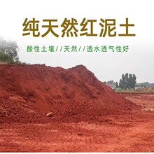 天然酸性红泥土红沙土红土黄土黄泥土盆栽茶花土杜鹃花兰花面土