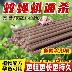 �������ò�ꌣ�ü��w�S������ω���nω������÷��ü��ÏN��