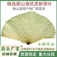 整张荷叶批发荷叶茶荷叶片干荷叶糯米鸡荷叶鸡荷叶饭荷叶整张商用