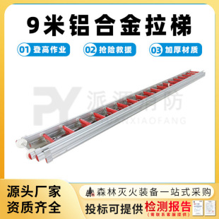 9���X�Ͻ����ݳ���ʽ2�����׵Ǹ�����sʽ���ٰ�ȫ��������Ԯ��