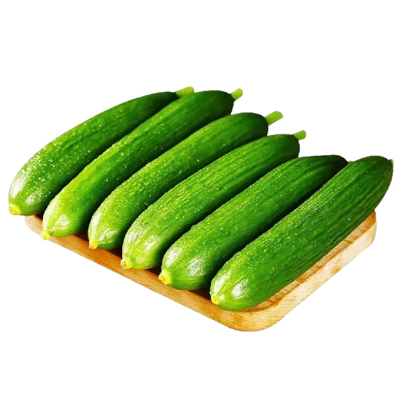 Shouguang Vegetables, Fruits, Cucumbers, Raw, Crispy and Fresh 2.5kg Cucumbers, Dutch Seasonal Thornless Cucumbers, Now Picked, Free Shipping