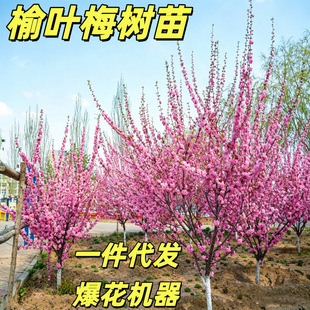 ���~÷��ͥԺ����÷������޽Ӽt÷����÷����G÷����÷�D÷����