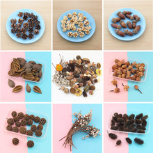 �ɻ��ɹ��ɹ�����׃��@ɭϵ�b���С���¼ҾӔ[���Ĕz����