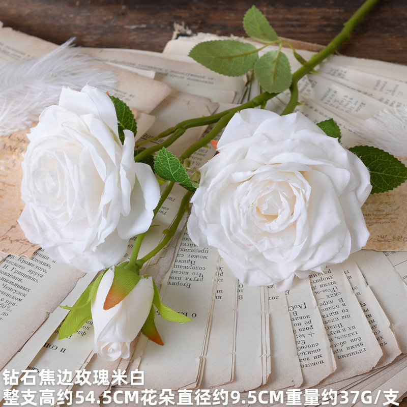 Diamond burnt edge rose off-white