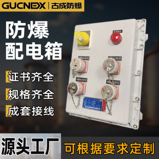 BXM(D)����������������䶨�Ʒ����Դ�_�P���ƙz�޲��������