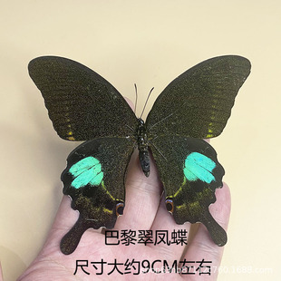 ?�S��ֱ�N������˱�չ�� �G�����P�� ���x���x�׃��@�̌W����չ