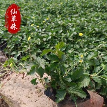 ���~ί��� ���~ί��˾G�������� ���^�@�ֹ������Ի��جF؛