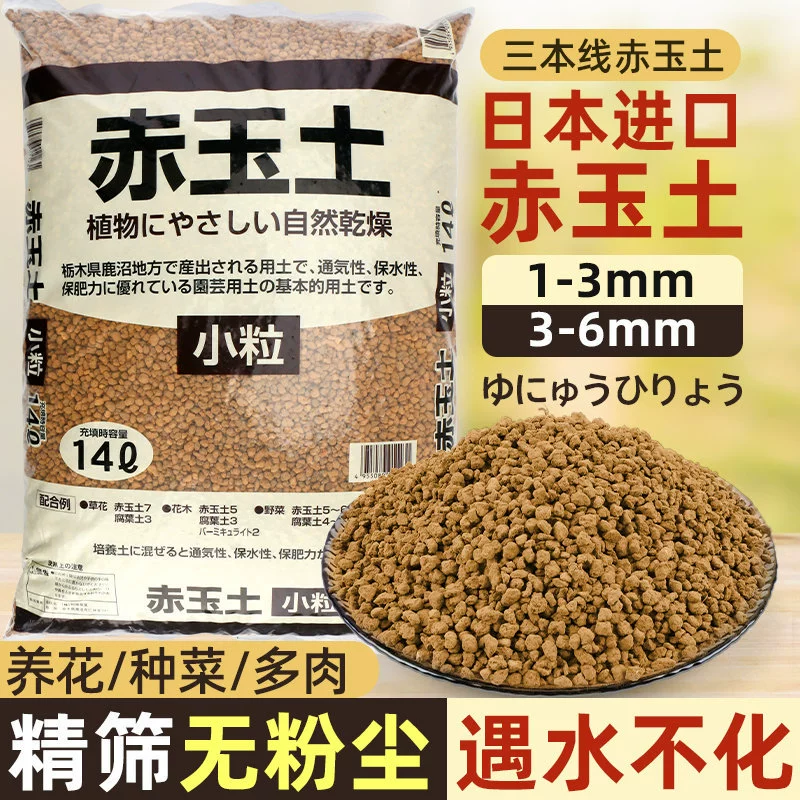 Подлинная като Chiyu Tu Япония импортировала оригинальное мясо бонсай специальное растение