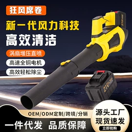 洗车水枪;电动吹风机;割草机