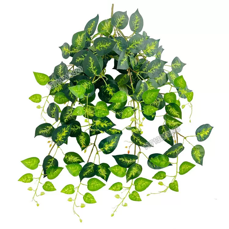 仿真壁挂藤条假花植物绿植客厅墙壁装饰 万年青假叶子塑料花盆景