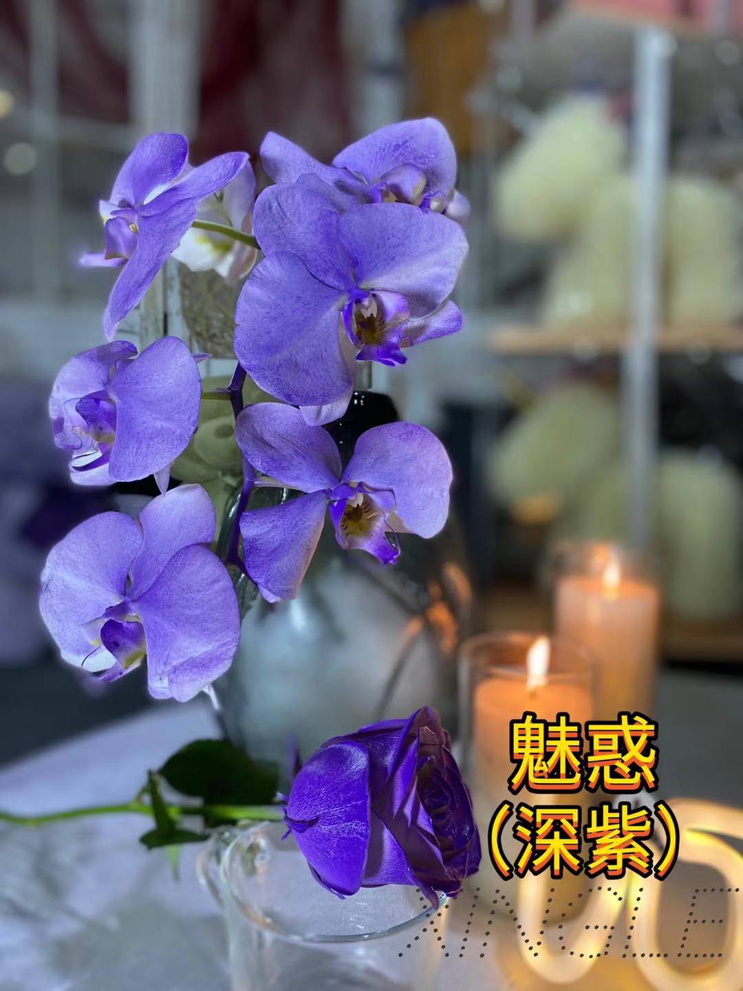 진한 보라색(연한 보라색) 매력