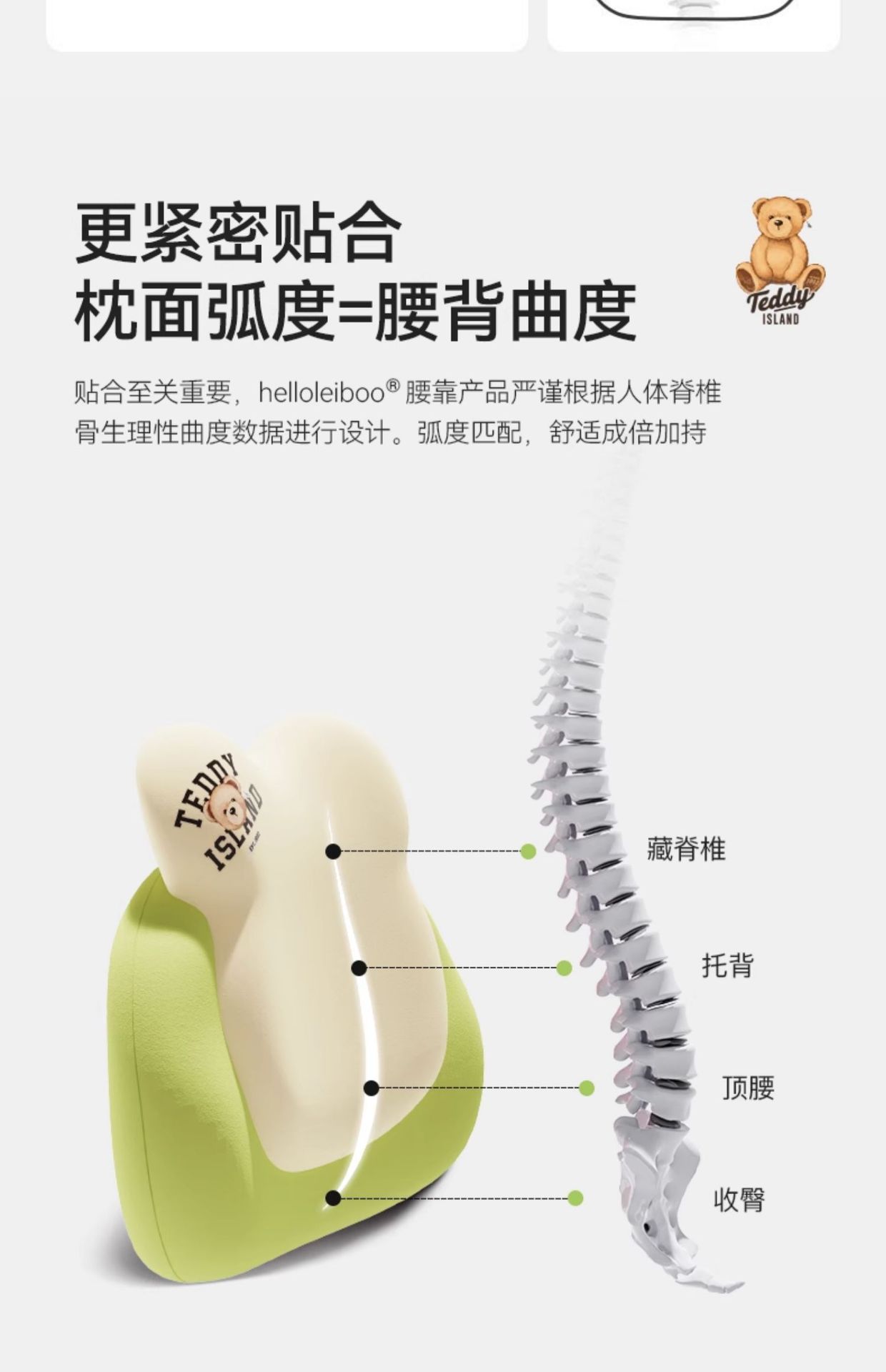 [Teddy Ailan Collaboration] Office Lumbar Support Cushion Seat Back Support Waist Pillow Memory Foam