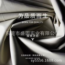 SF؛Ȼhֲ＃Ƥ iPadPӛƤb