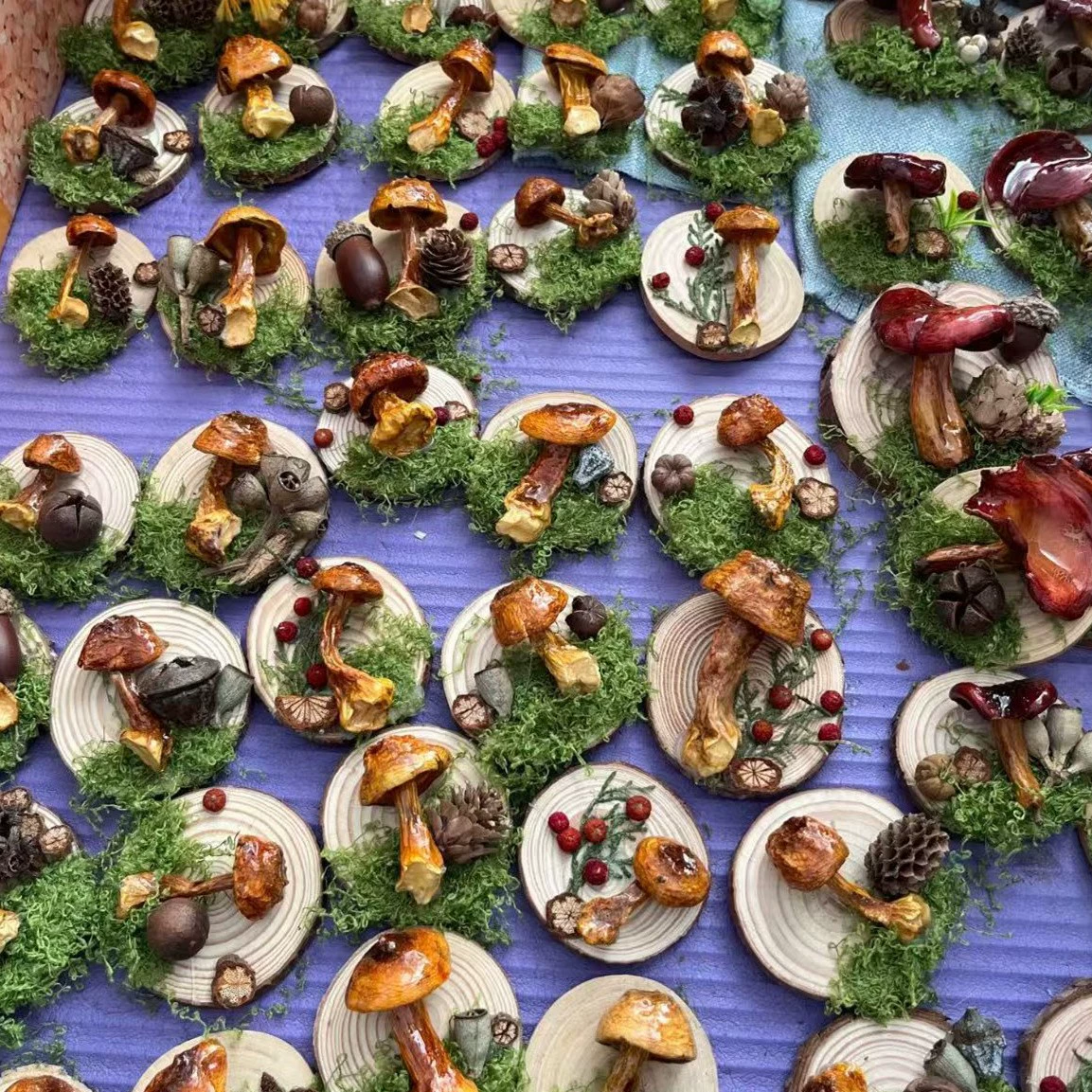 Юньнань грибы дикие грибы настоящие растения