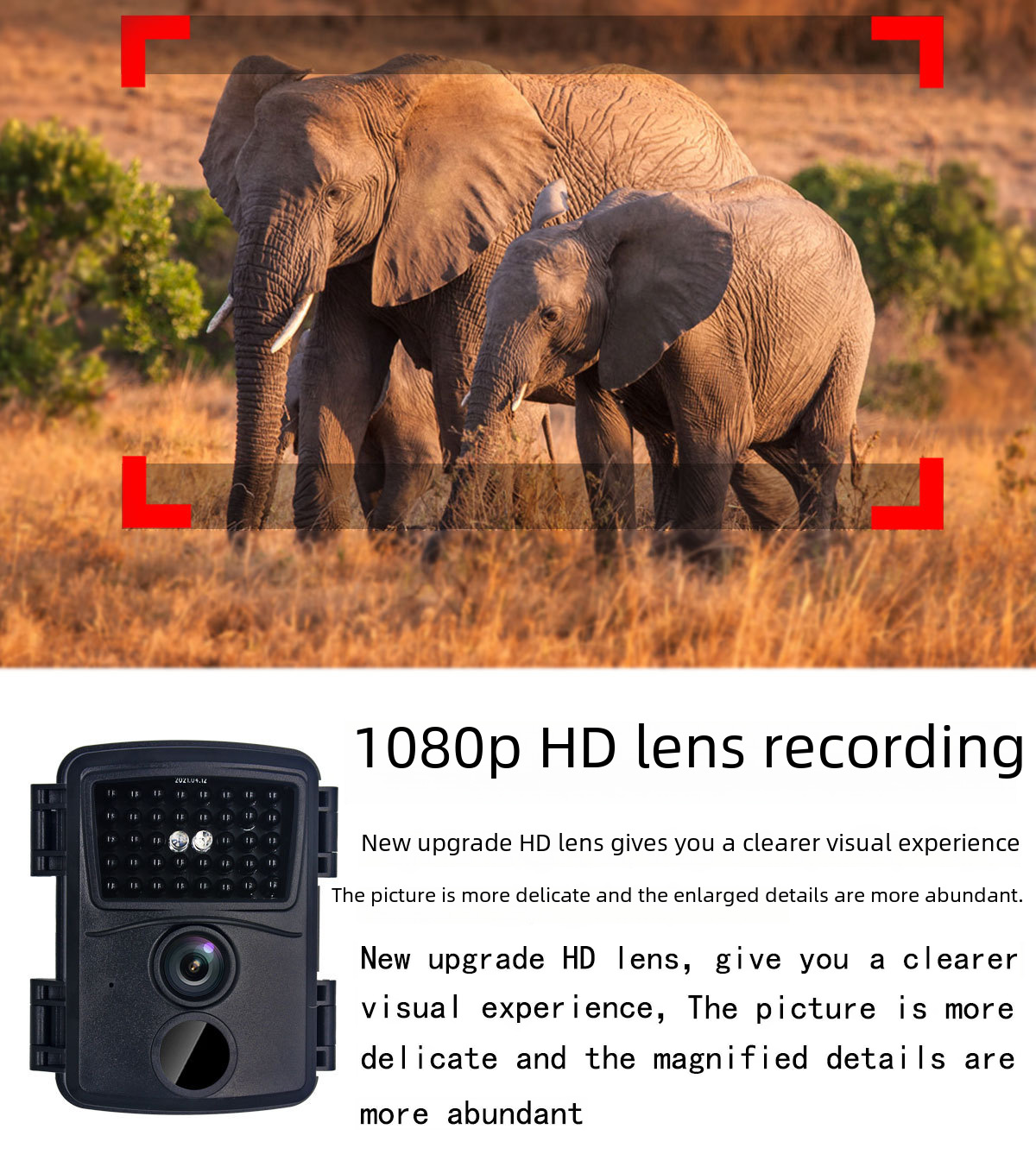 Infrared Technology