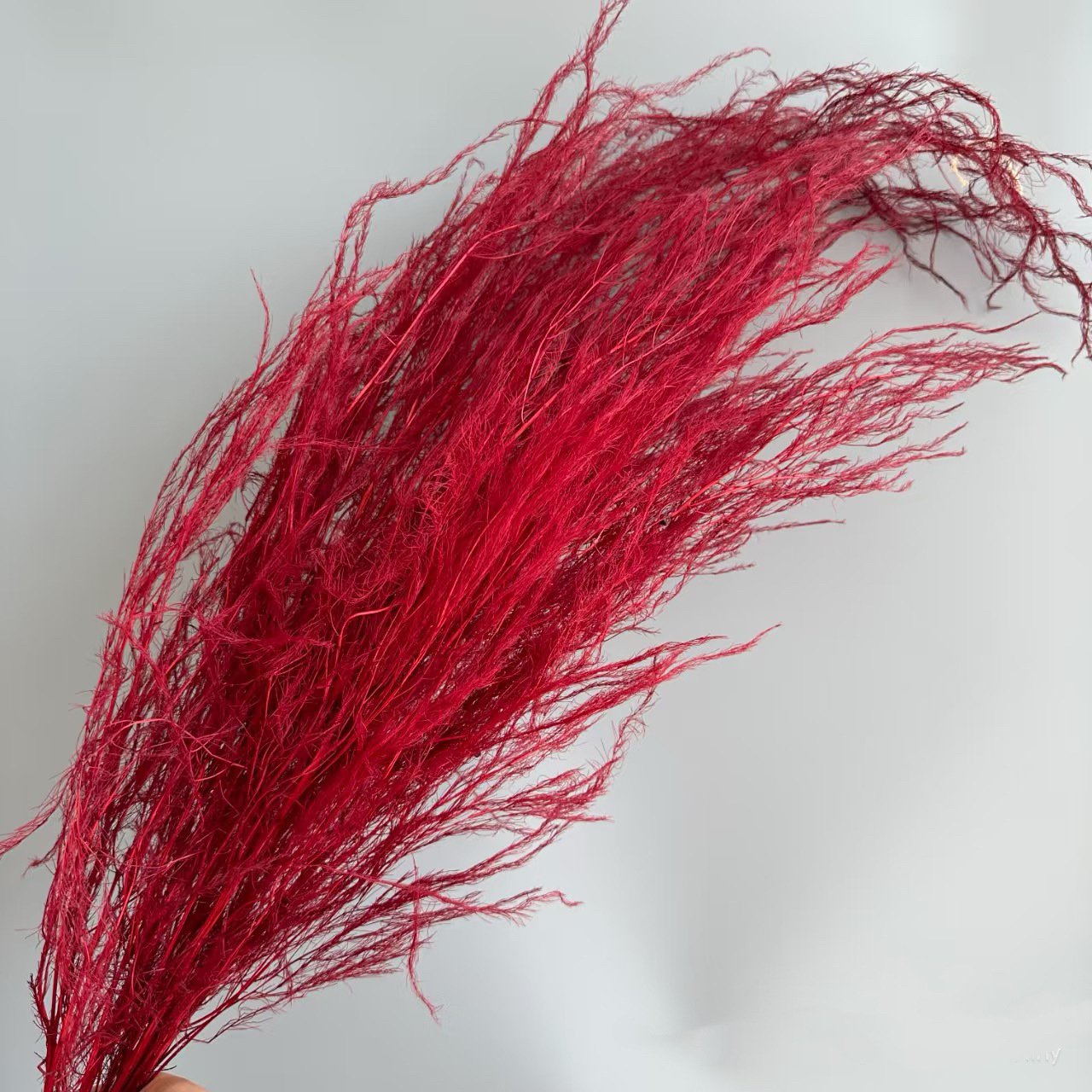 Florista sueña material floral suave decoración de bodas hierba de pelo seco flores eternas multicolores al por mayor