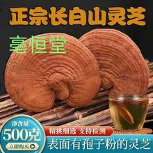 `֥Ұ`֥֦شҜݾ`֥l