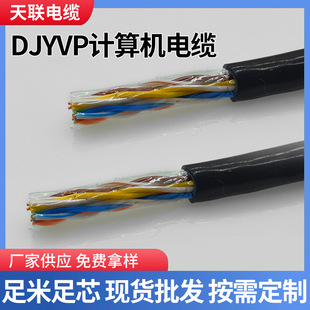 Djyvp32 Steel Wire Armored Computer Cable Nh-Djyvp Nh-Djyvrp Fireproof Computer Cable