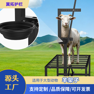 Դ�^���S���N���ƾd��ɽ������޼��ܸ߶ȿ��{ɽ����оd�������