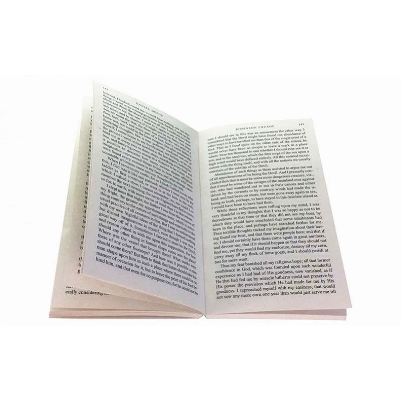 Робинзон Крузо Робинзон Дрифтинг английская оригинальная повесть книга флейта мир классика Lu