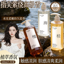 泡沫清荷植萃香氛洗手液家用按压清香型持久留香温和护手一件代发