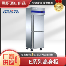 格林斯达E款冷柜星星冰箱D500E2直冷冻商用不锈钢冰柜商用高身