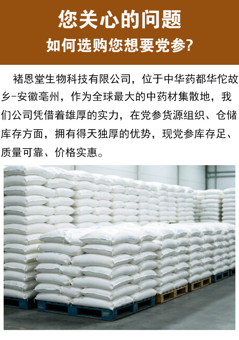 Dang Shen Slices (Codonopsis pilosula) — Gansu Sulfur-Free Dried Root for Tea & Soup overview