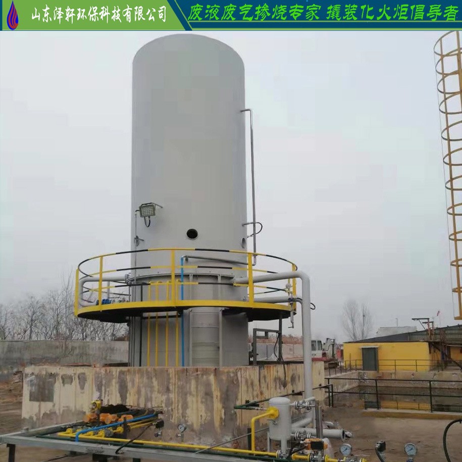 山东泽轩 沼气火炬 内燃式养殖场沼气火炬 地面火炬