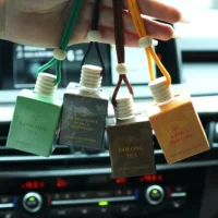 Автомобильный парфюм с длительным ароматом, автомобильный аромат на шнурке, безалкогольный парфюм